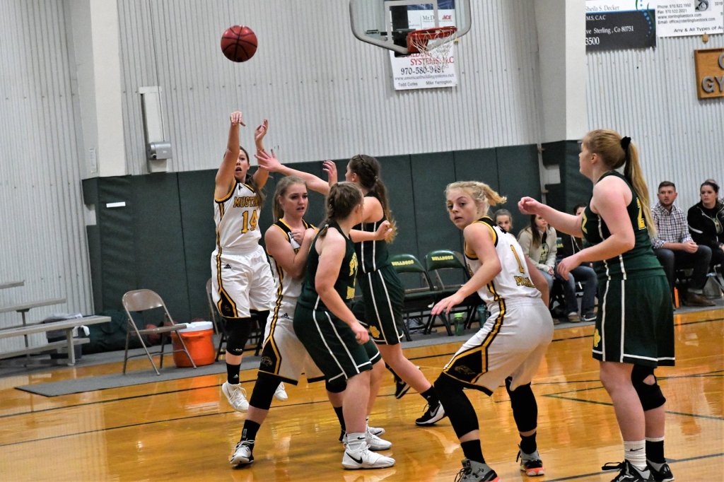 Girls Basketball League Predictions Class&nbsp;1A