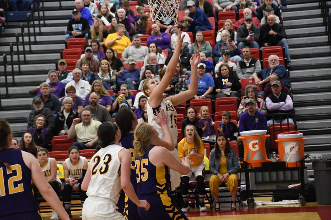 54416010_10157305237857975_4307079760904716288_o