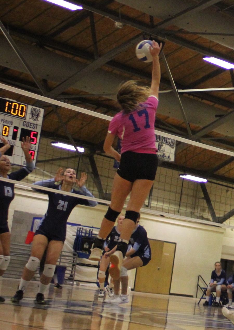 44901084_2160877210642574_7230314698191667200_o