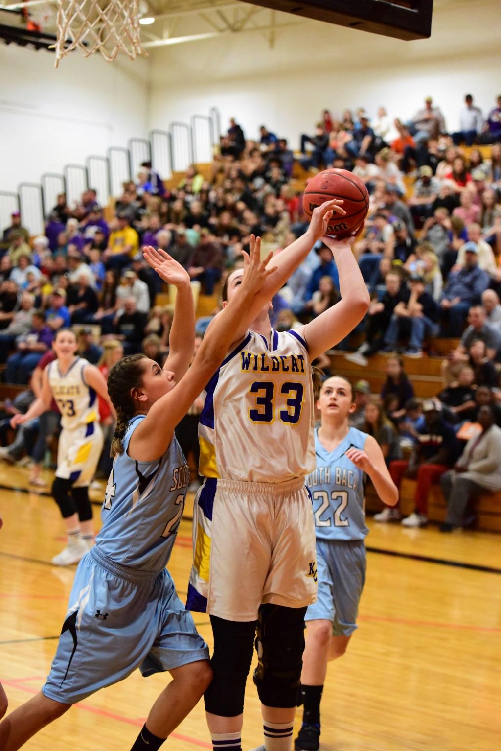 Girls Basketball Class 1A Regional Predictions and State Tournament&nbsp;Projections