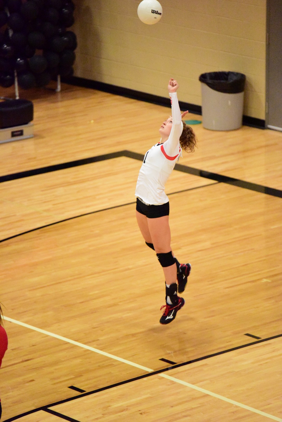 181018-0348_3871x2583_2718470