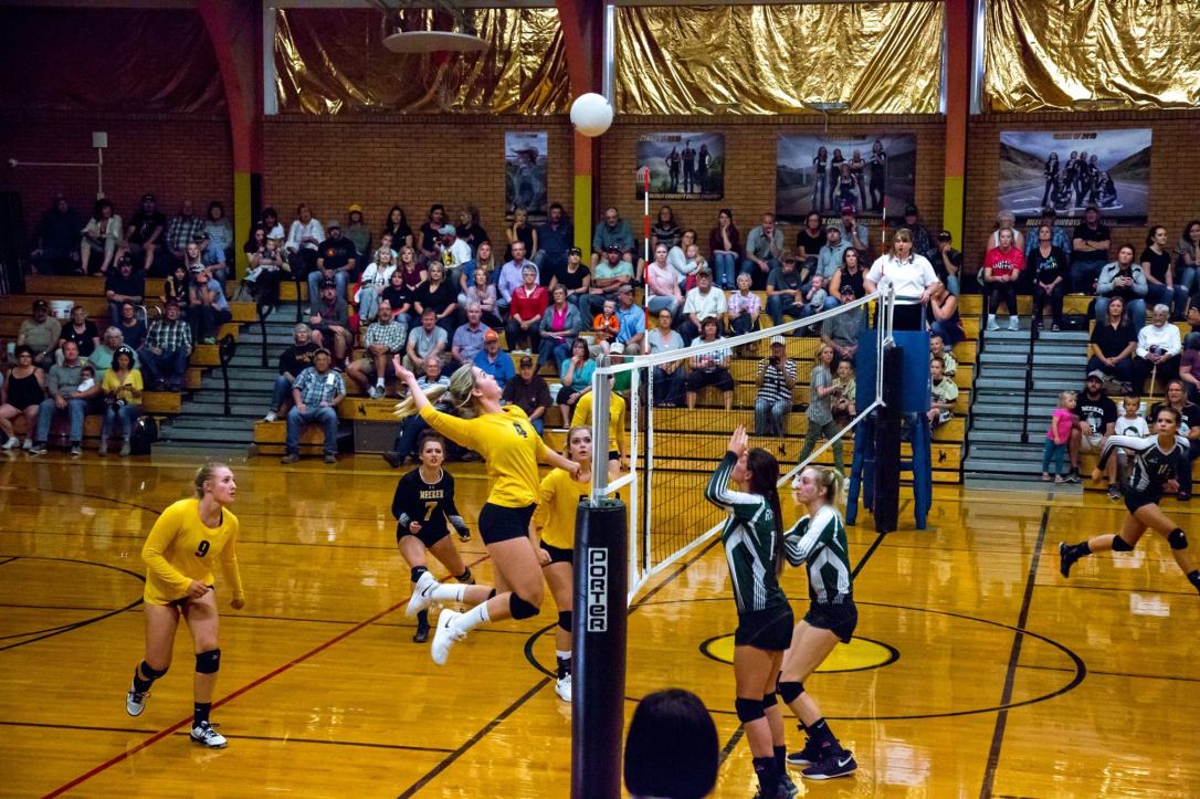 42189078_2185735294973534_2241148015618293760_o