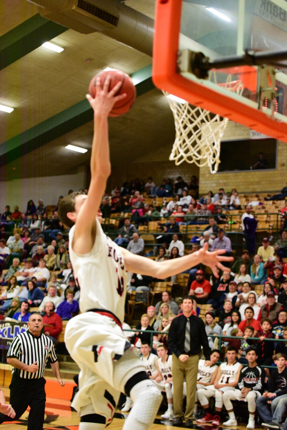 171216-1595_2583x3871_2238218