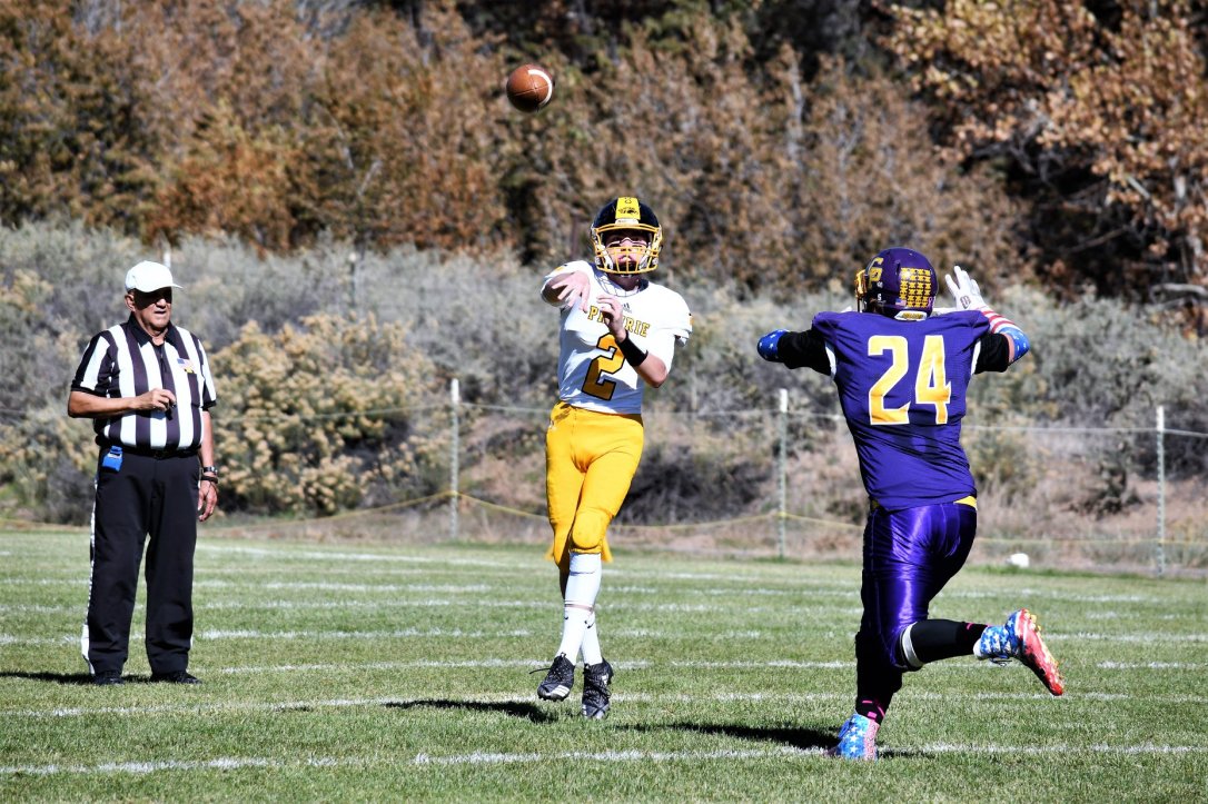 44428324_1940318655990548_2172817199062843392_o