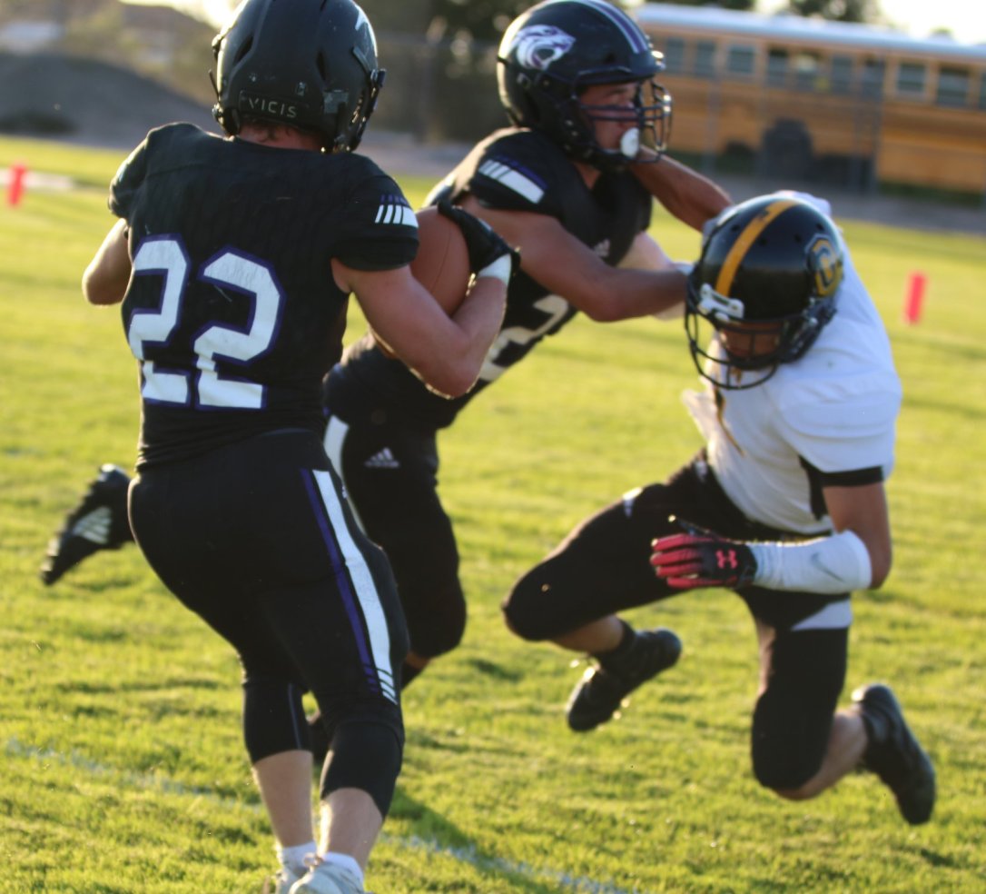 Billie Carlson Sedco vs Gilpin County