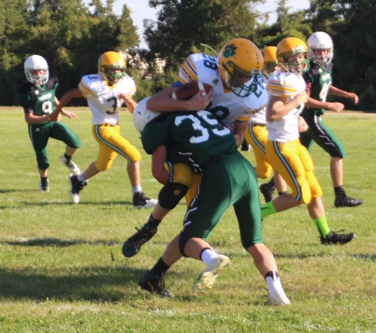 Kenna Lichty Dible Stratton vs Peetz