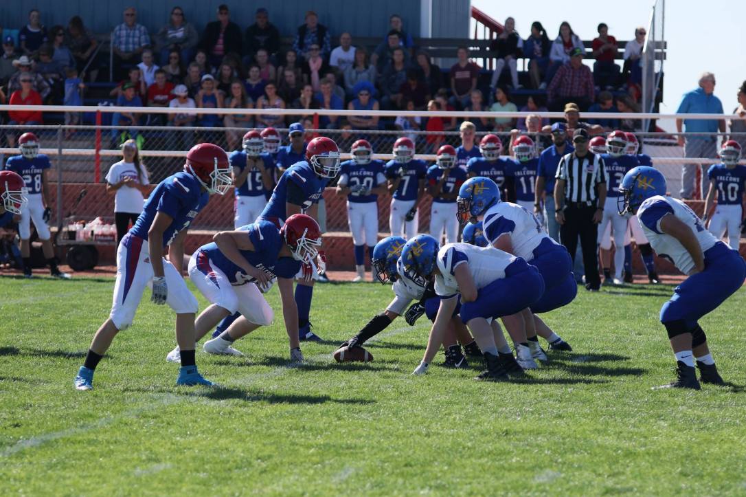 42424442_10156876685642975_1187857769319890944_o