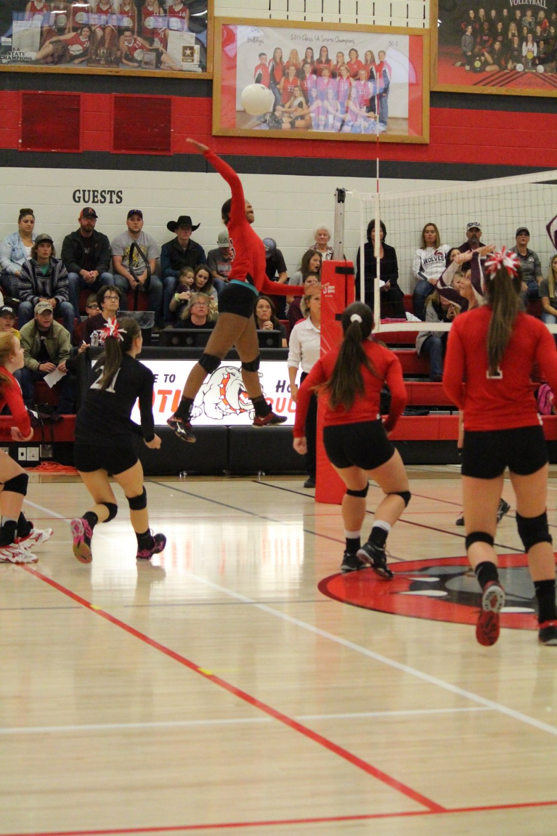 45478392_10156985321852975_648307884353912832_o