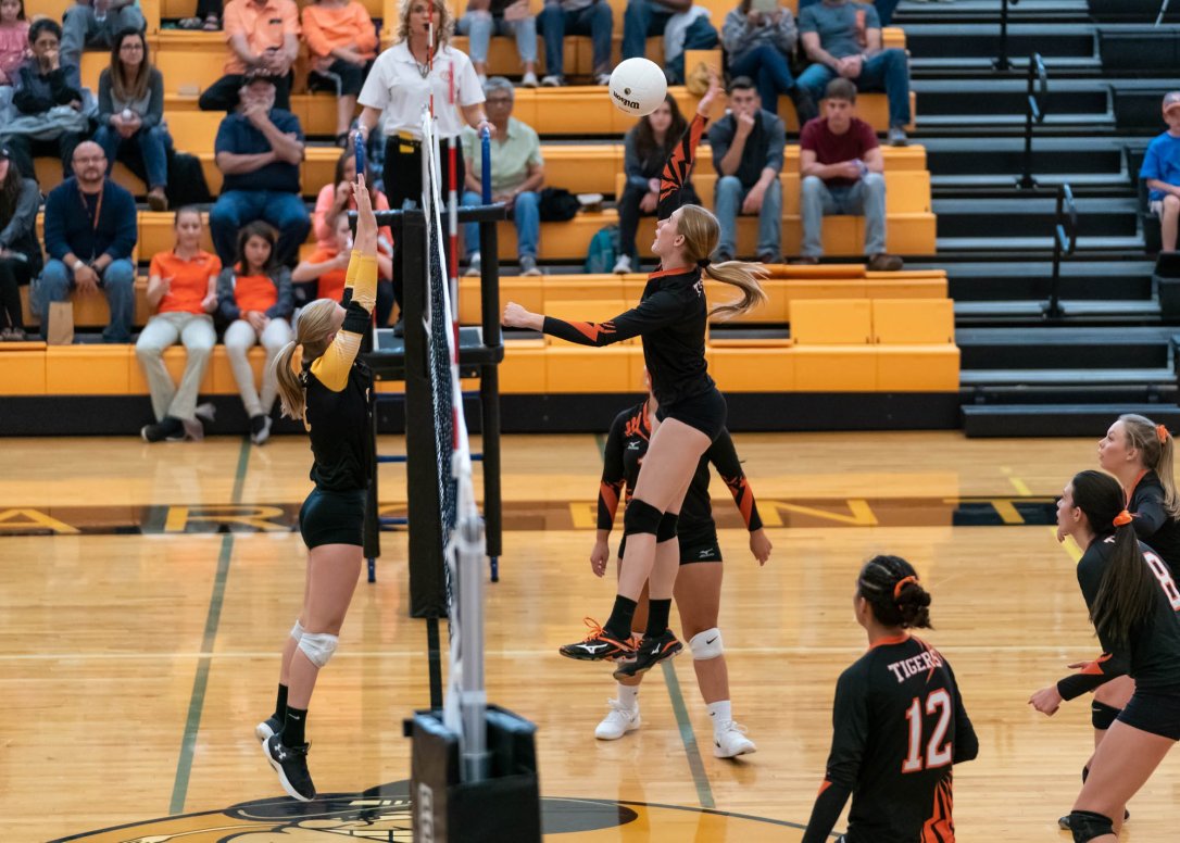 43518817_2084778061835280_2644837197269696512_o