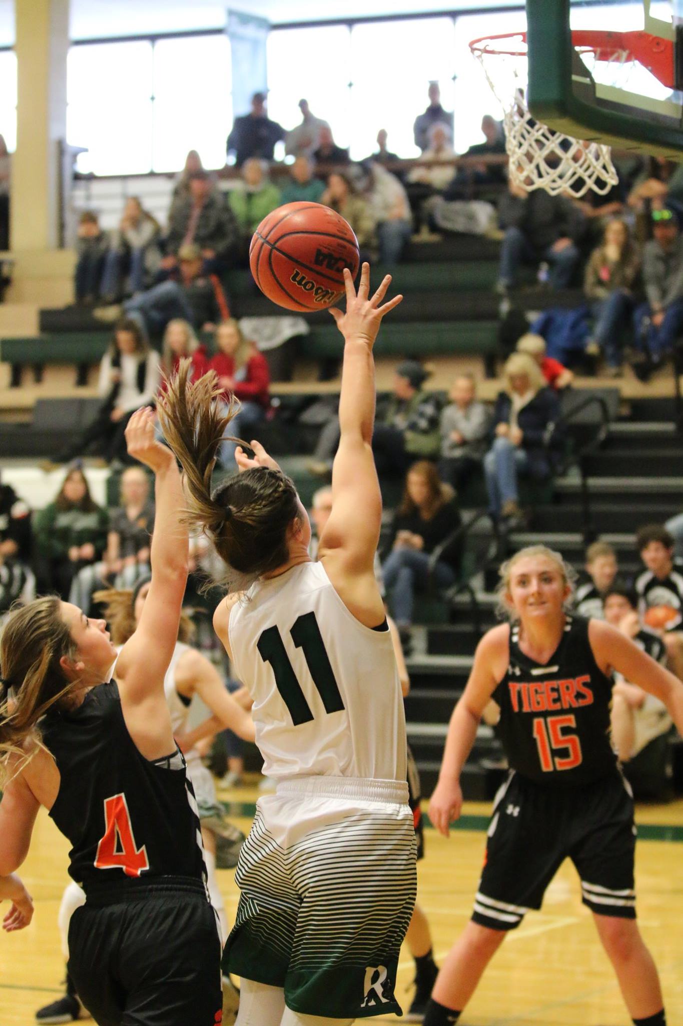 Stat Leaders for Girls Basketball for Week 4 (Class 3A thru 1A)