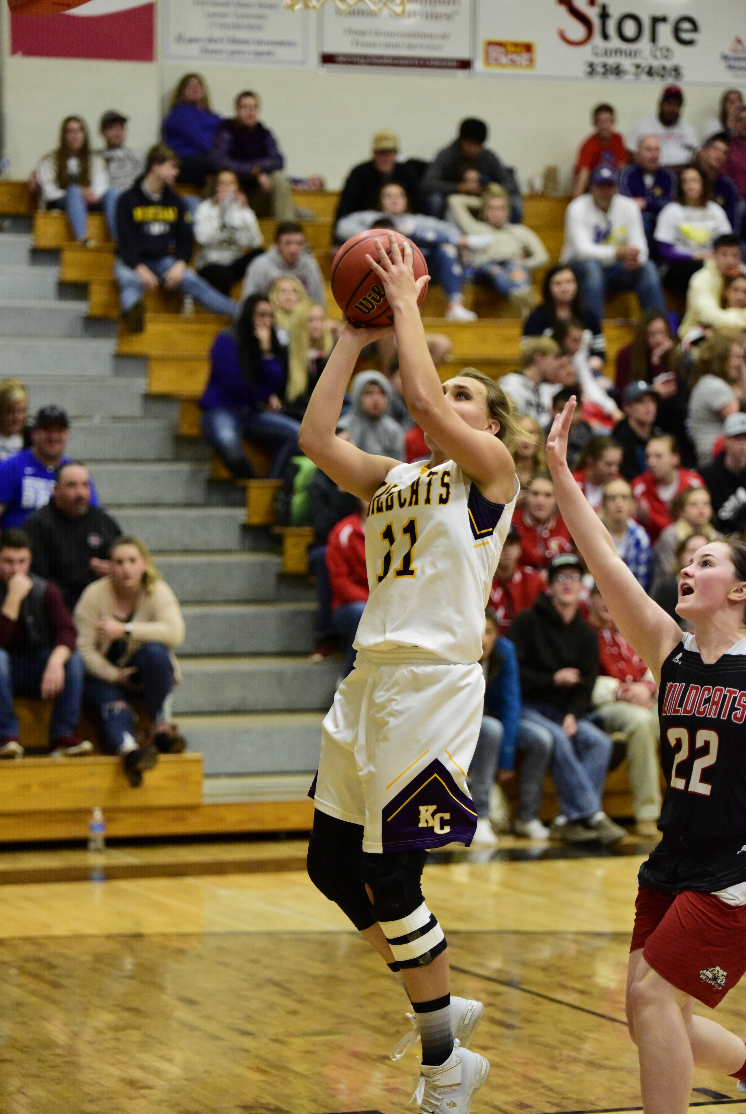 Girls Basketball District Tournament Predictions Class 1A