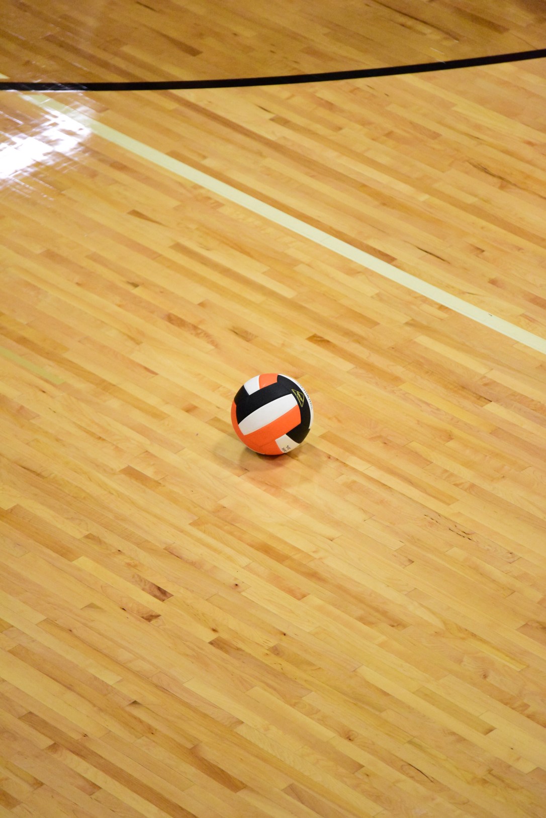 180911-0002_2583x3871_2658710