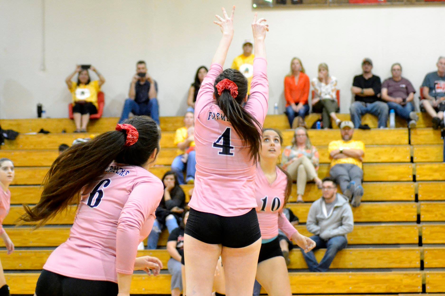 If the Volleyball Playoffs Started Today, Playoff Projections Class 2A Week 7