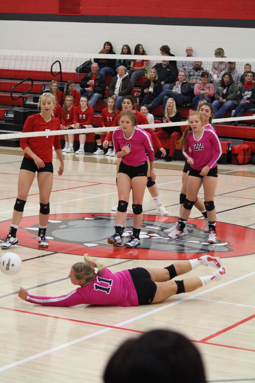 44118674_10156936621372975_359299114099277824_o