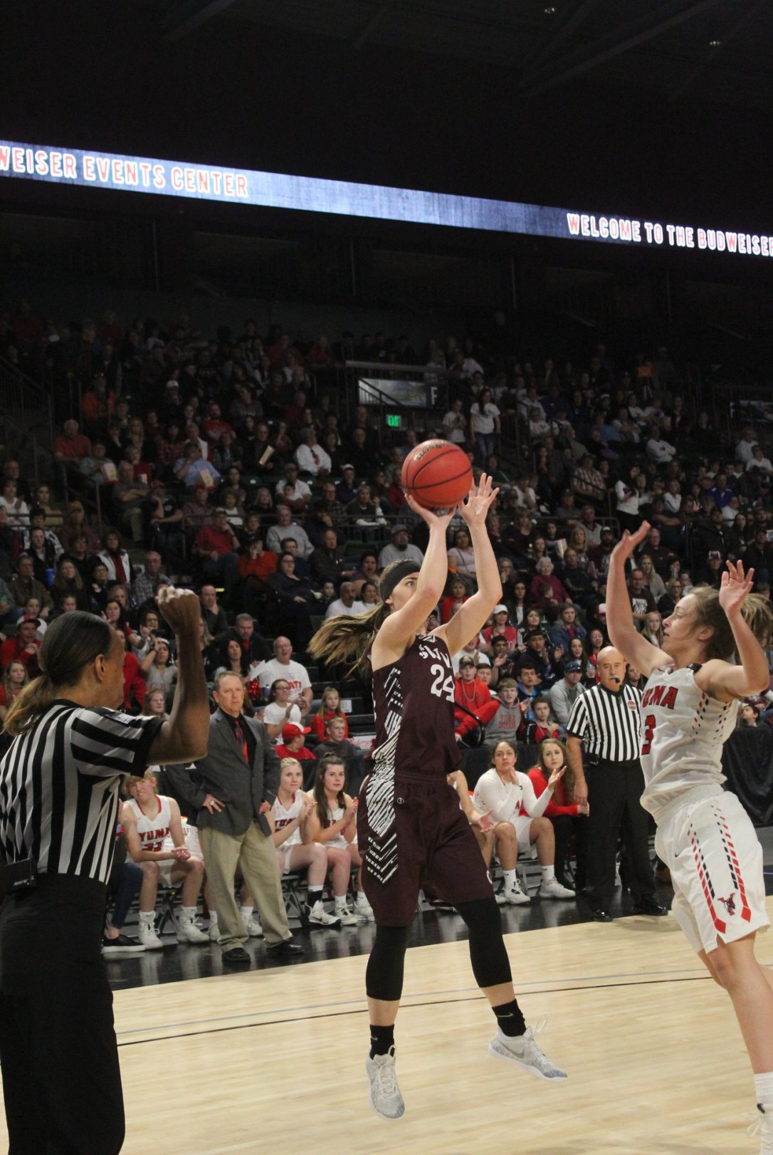 53807469_10213874324111625_8021353043100434432_o