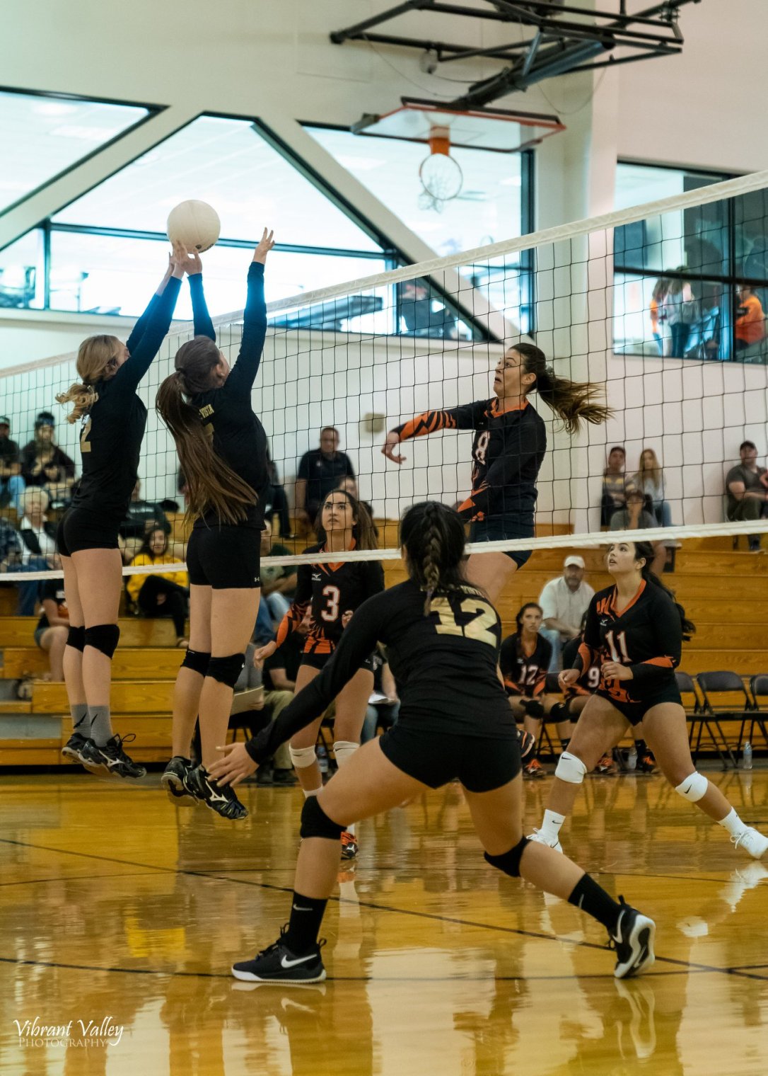 40152197_2063173263995760_2387021013549318144_o