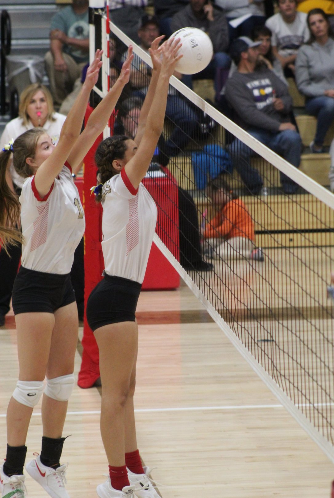 van hollis rf vs fowler