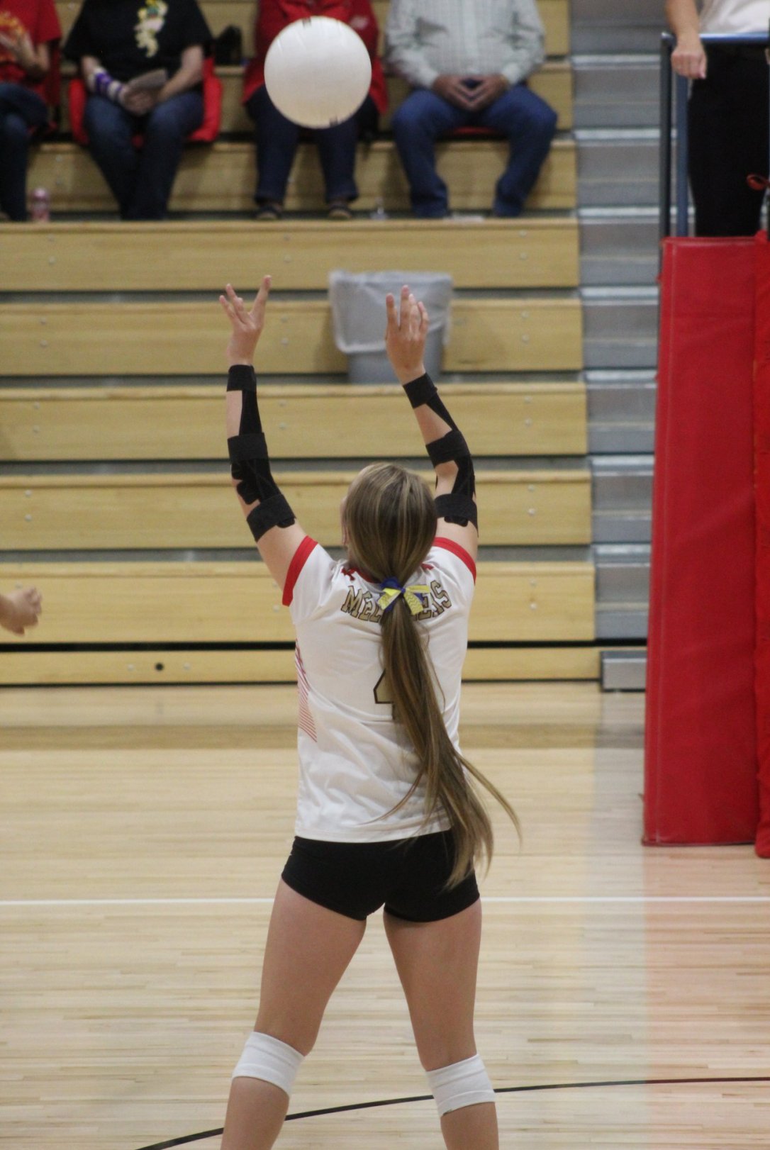 Van Hollis RF vs Holly