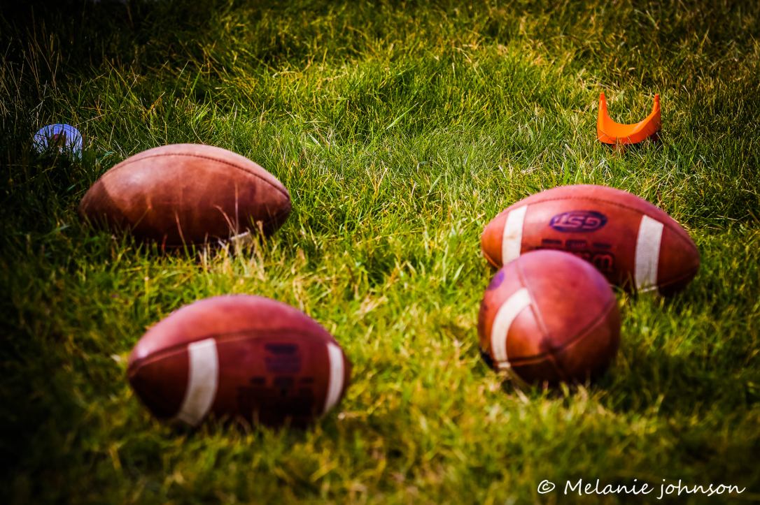 Melanie Johnson DND.jpg