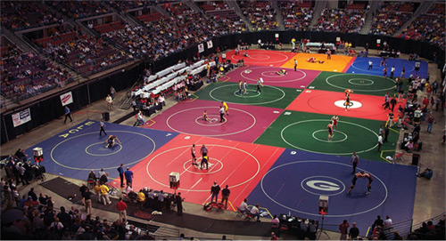 Wrestling