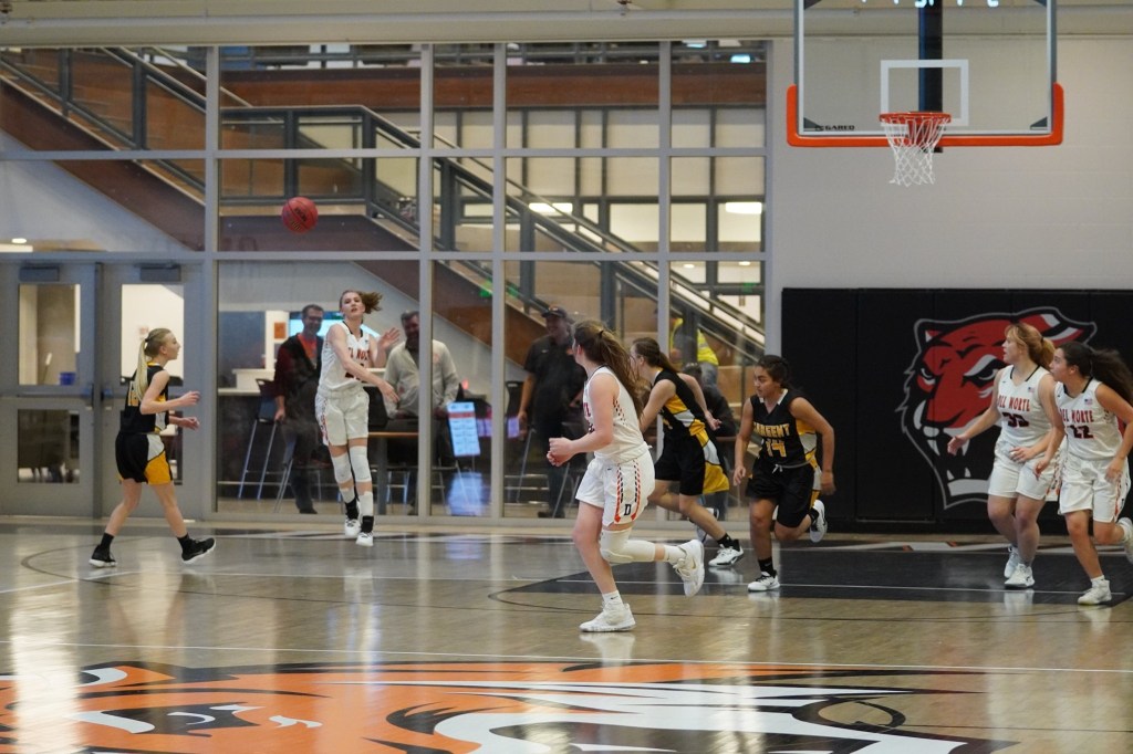 Girls Basketball Class 2A District Breakdown & Predictions Class&nbsp;2A