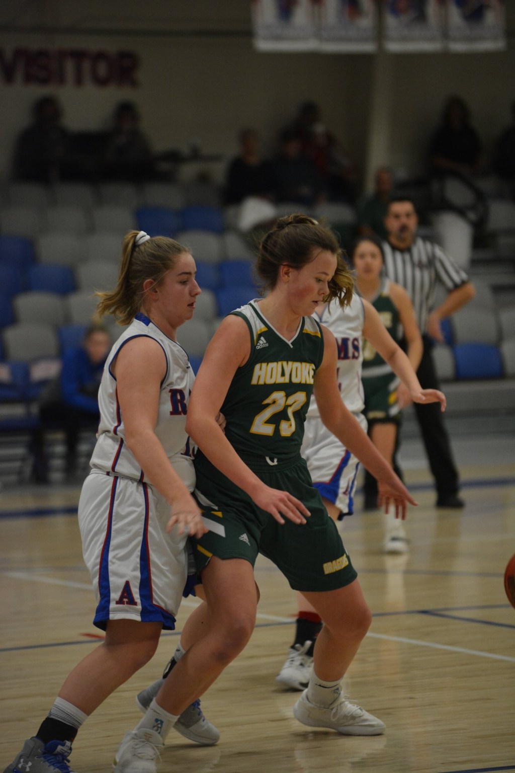 Girls Basketball Class 2A District Breakdown &&nbsp;Predictions