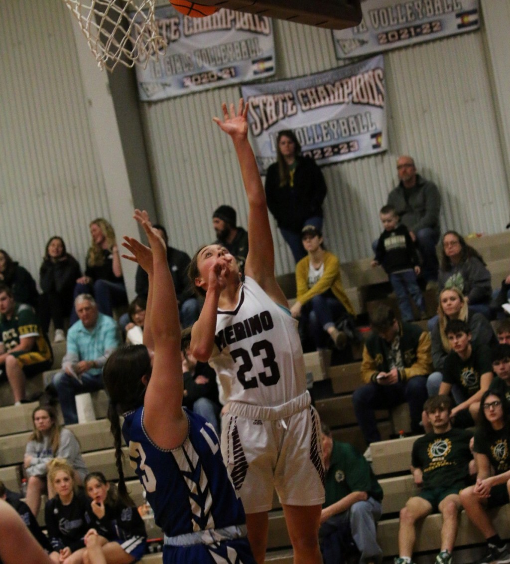 Class 2A Girls Basketball Weekly&nbsp;Preview