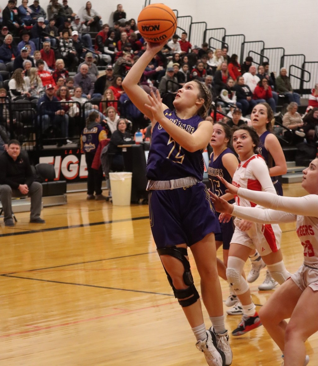 Girls Basketball Players of the Week for District Tournaments (Class 4A thru&nbsp;1A)