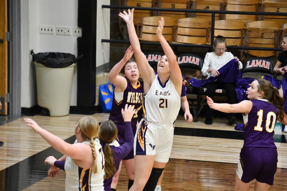 CLASS 1A GIRLS BASKETBALL REPORT by Kerry&nbsp;Sherman