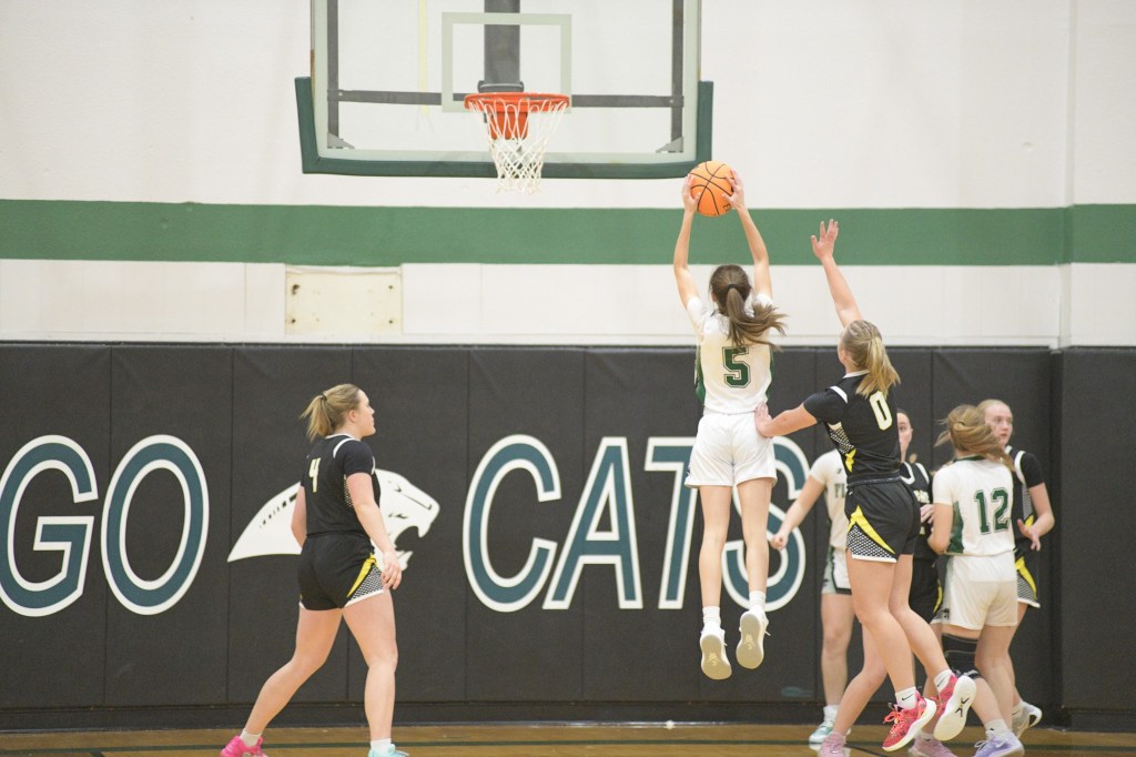 CLASS 1A GIRLS BASKETBALL REPORT by Kerry&nbsp;Sherman